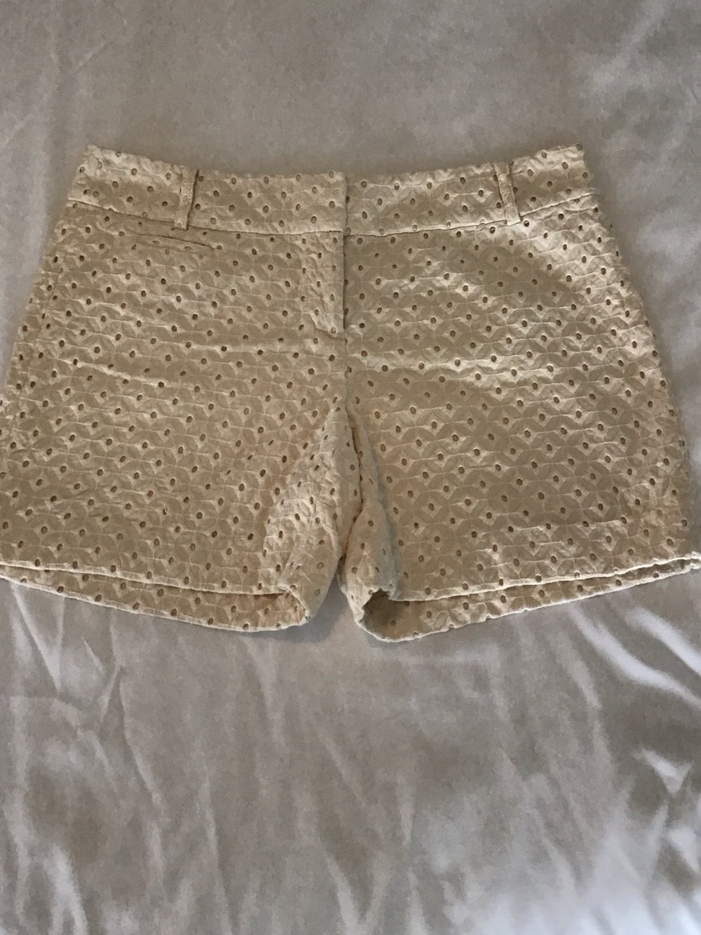 NWOT Women's Cream Eyelet Lace Shorts